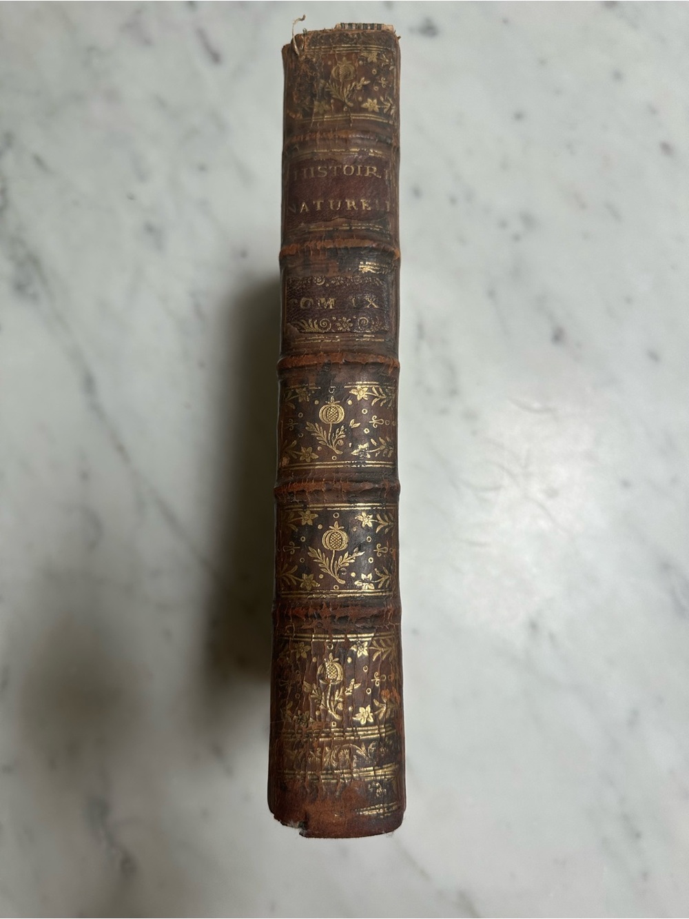 First edition of Histoire Naturelle by Georges-Louis Leclerc 1761